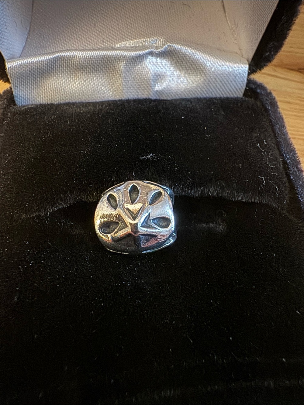 Chamilia Silver Sand Dollar Charm - Silver